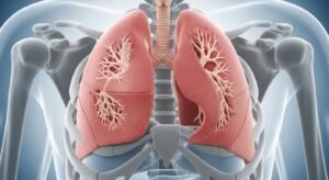 Detailed 3D medical illustration of human lungs and bronchial tubes within a ribcage, representing respiratory wellness and lung health.